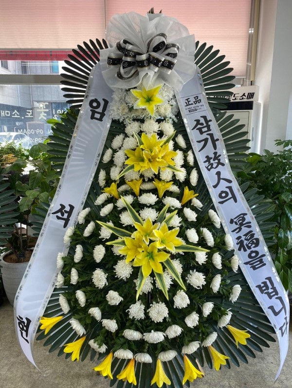 업로드 이미지