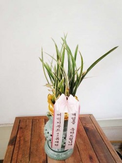 배송사진