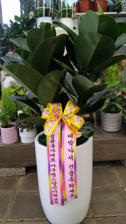 배송사진