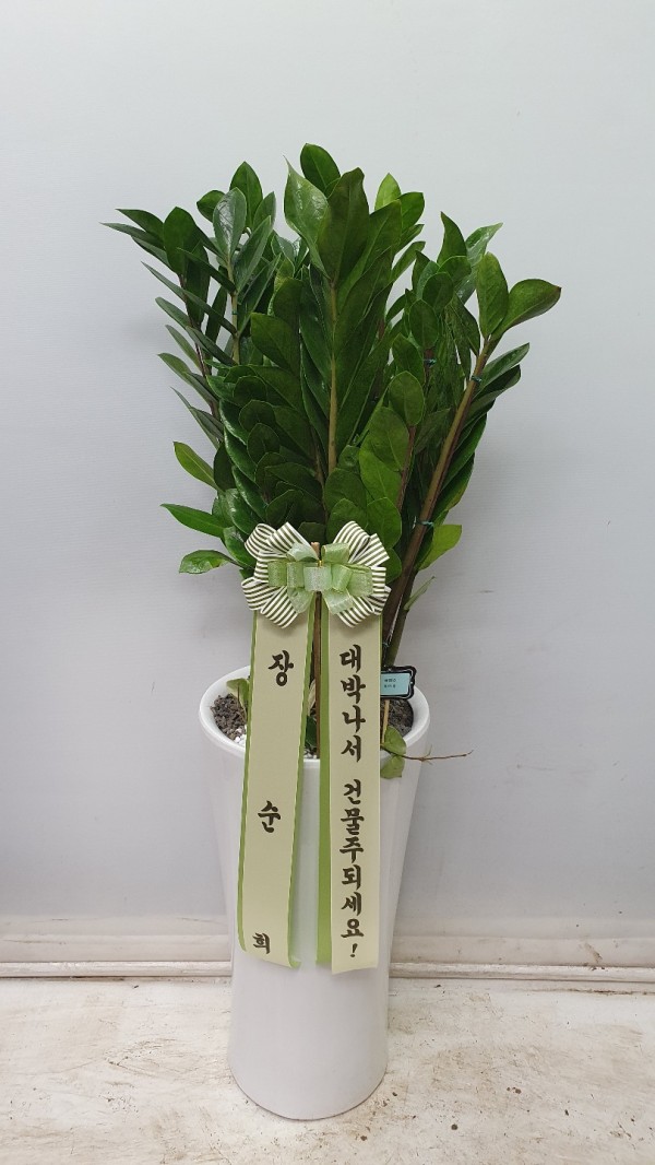 업로드 이미지