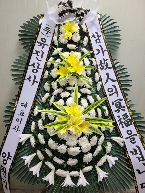 업로드 이미지