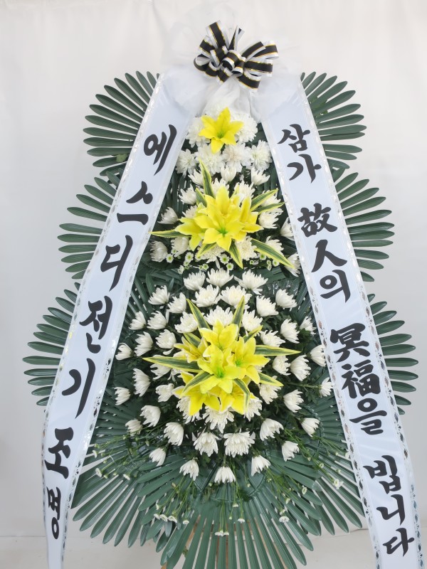 업로드 이미지