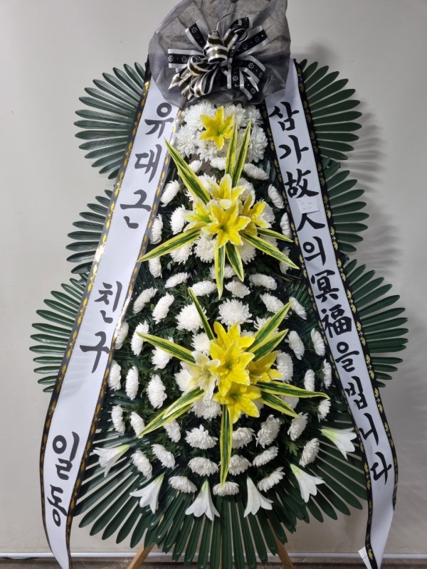 업로드 이미지