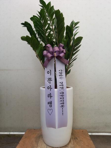 업로드 이미지