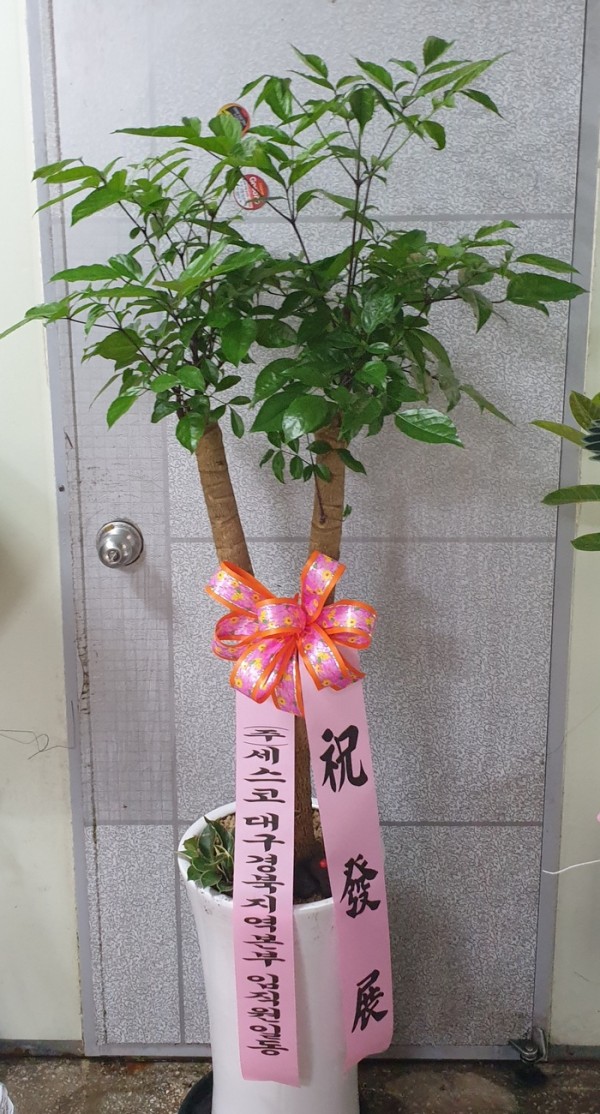 업로드 이미지