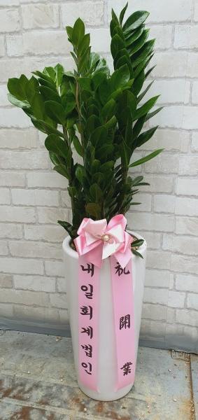 업로드 이미지