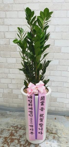 업로드 이미지