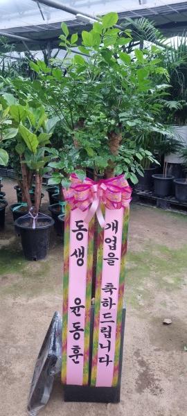 업로드 이미지