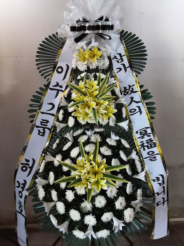 업로드 이미지