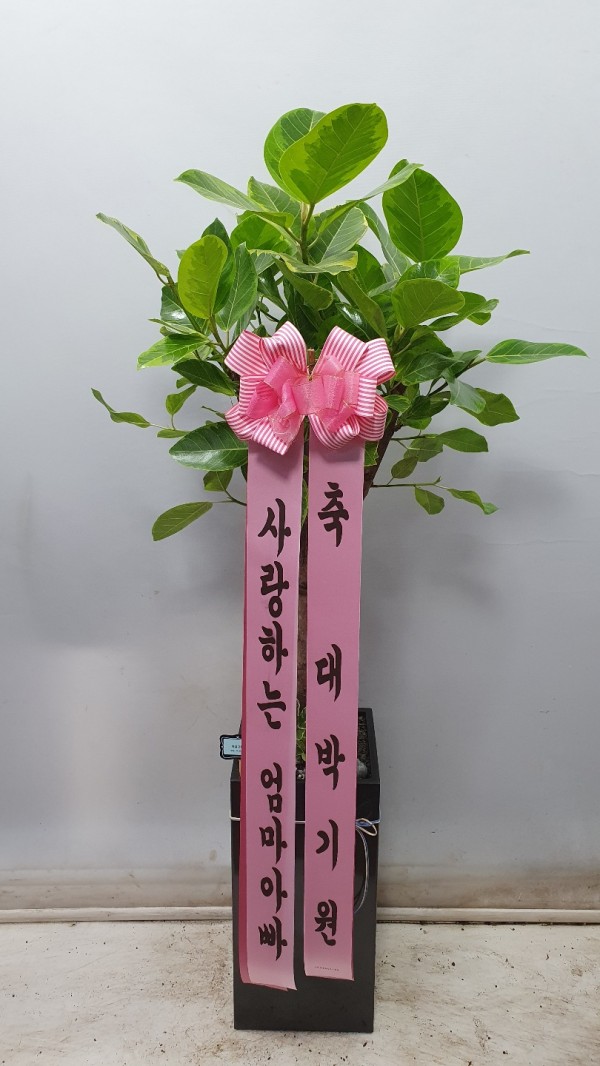 업로드 이미지
