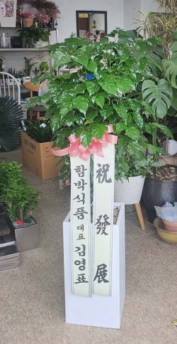 배송사진