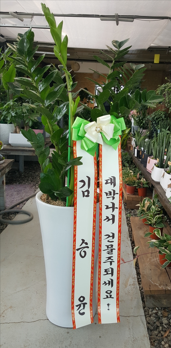 업로드 이미지