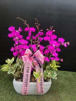 배송사진