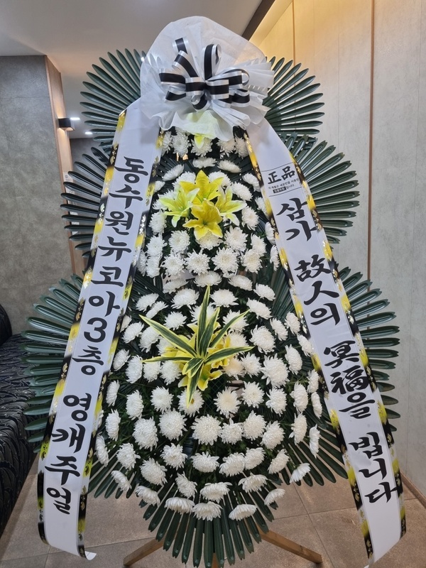 업로드 이미지