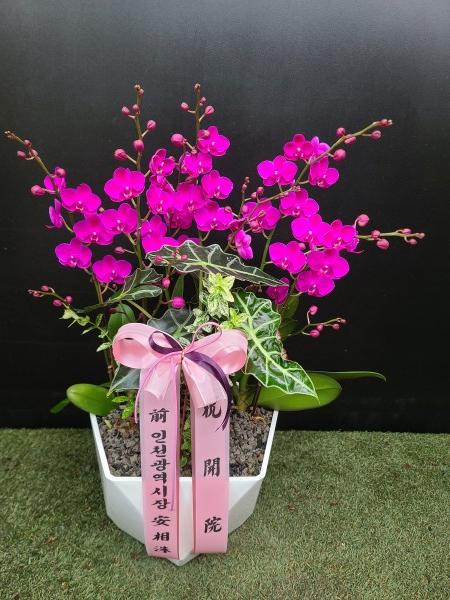 업로드 이미지