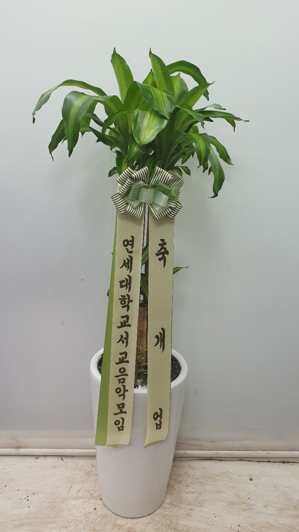 업로드 이미지