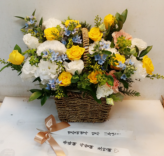 업로드 이미지