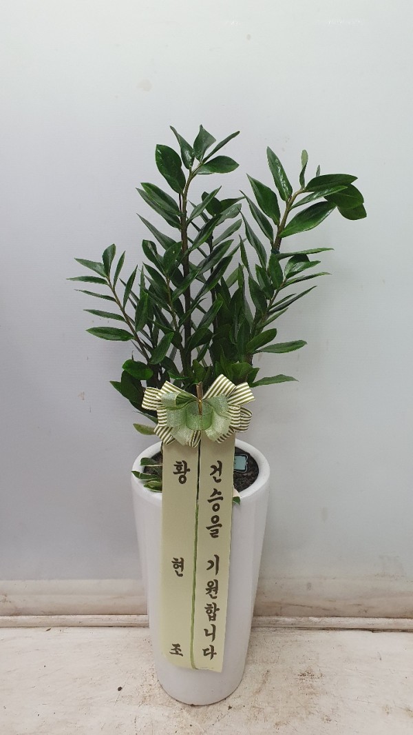 업로드 이미지