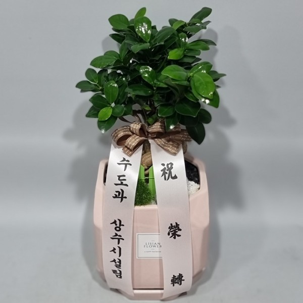 업로드 이미지