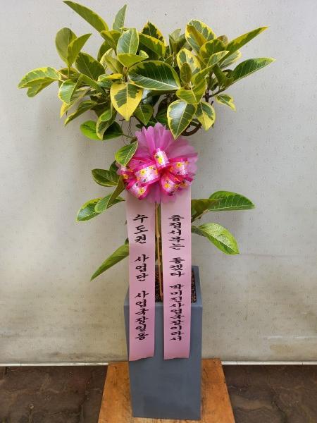 업로드 이미지