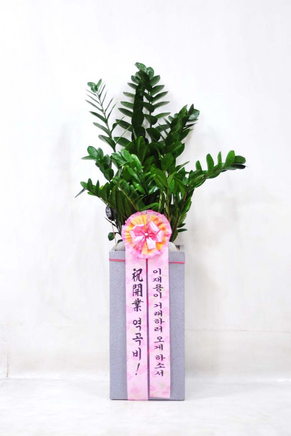 업로드 이미지