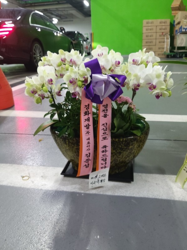 업로드 이미지