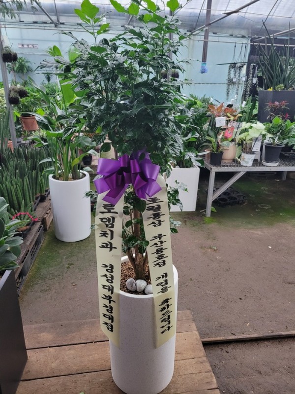 업로드 이미지