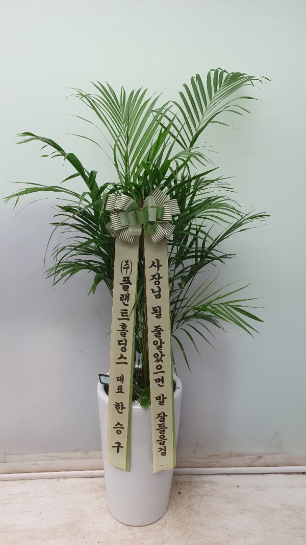 업로드 이미지
