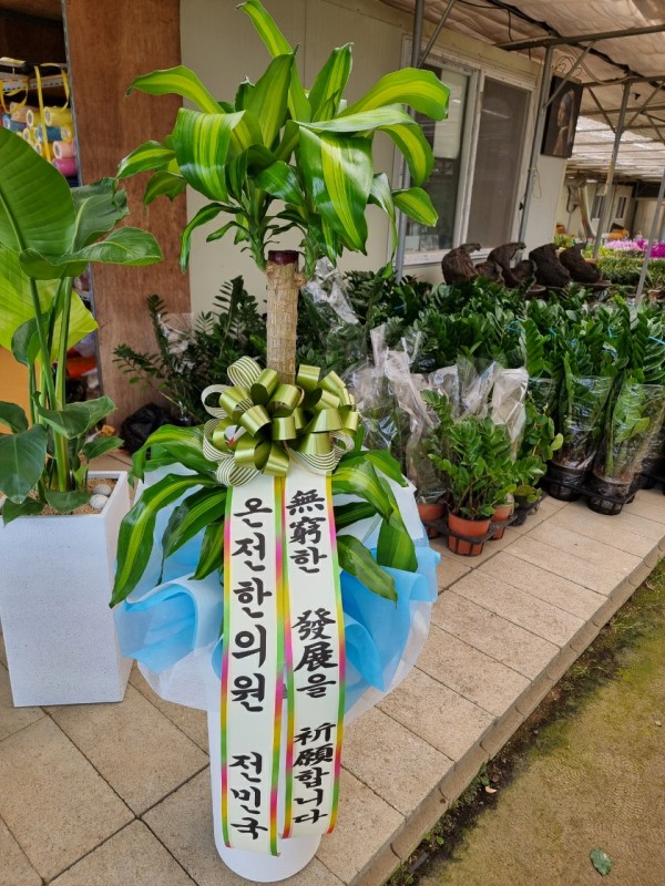 업로드 이미지