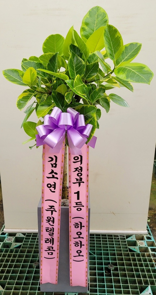 업로드 이미지