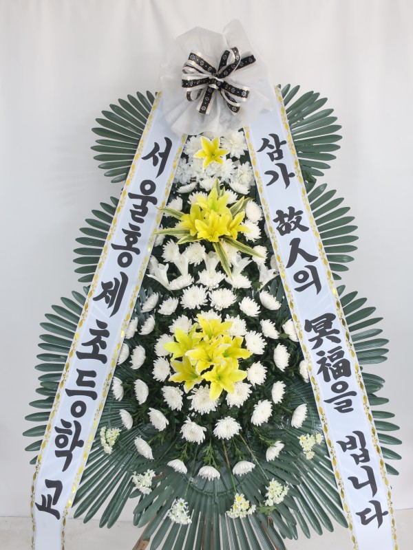 업로드 이미지