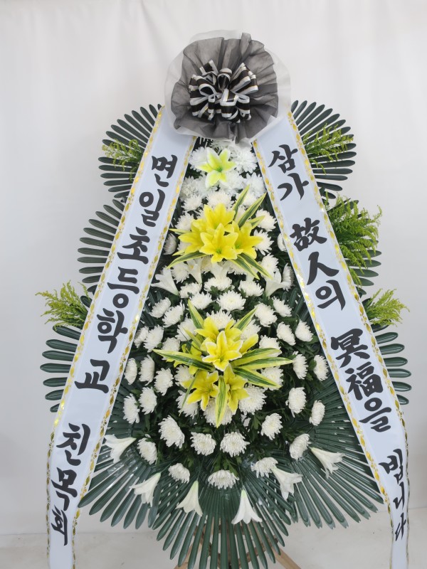 업로드 이미지