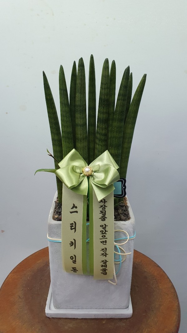 업로드 이미지