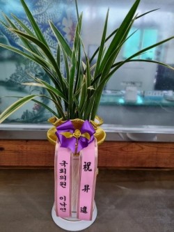 배송사진