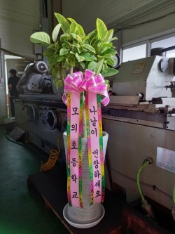 배송사진