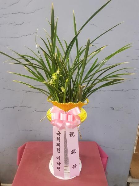 업로드 이미지