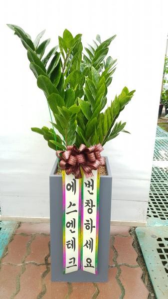 업로드 이미지