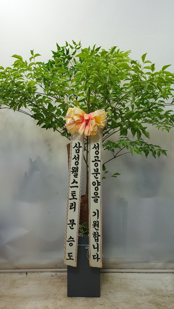 업로드 이미지