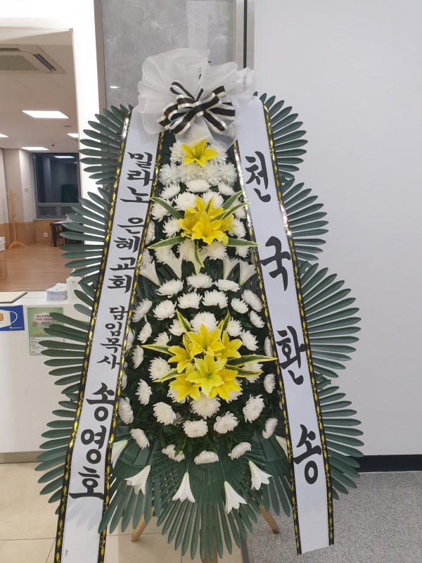 업로드 이미지