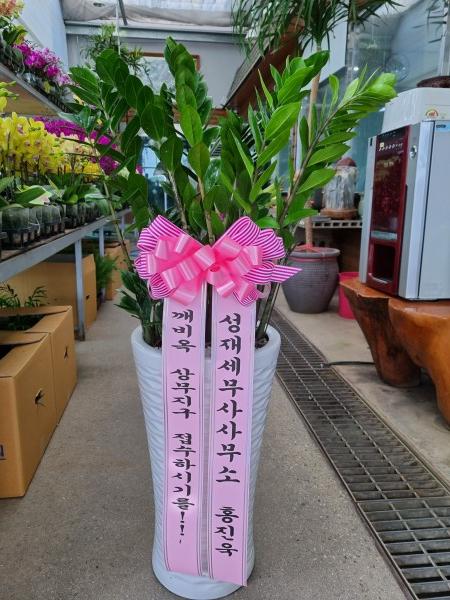 업로드 이미지