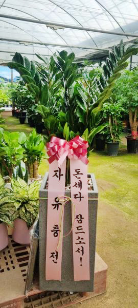 업로드 이미지