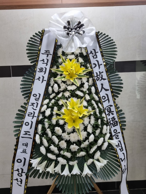업로드 이미지