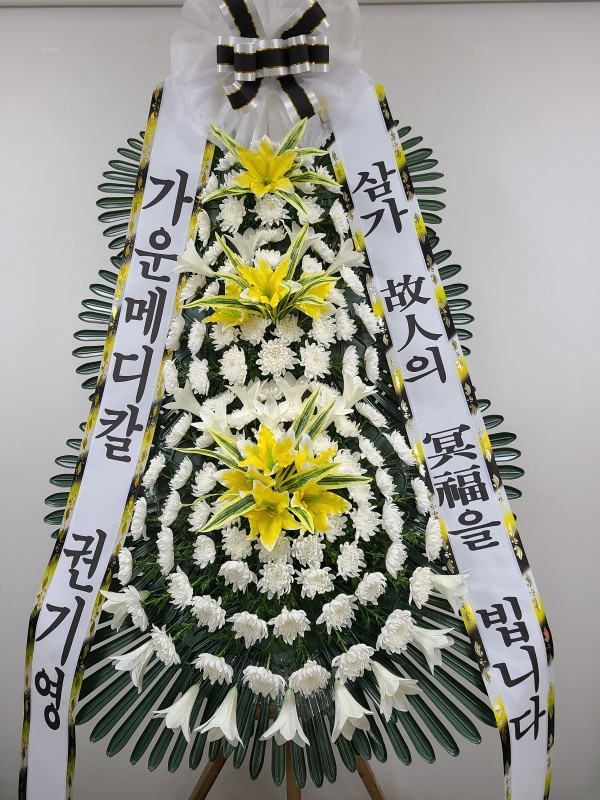 업로드 이미지