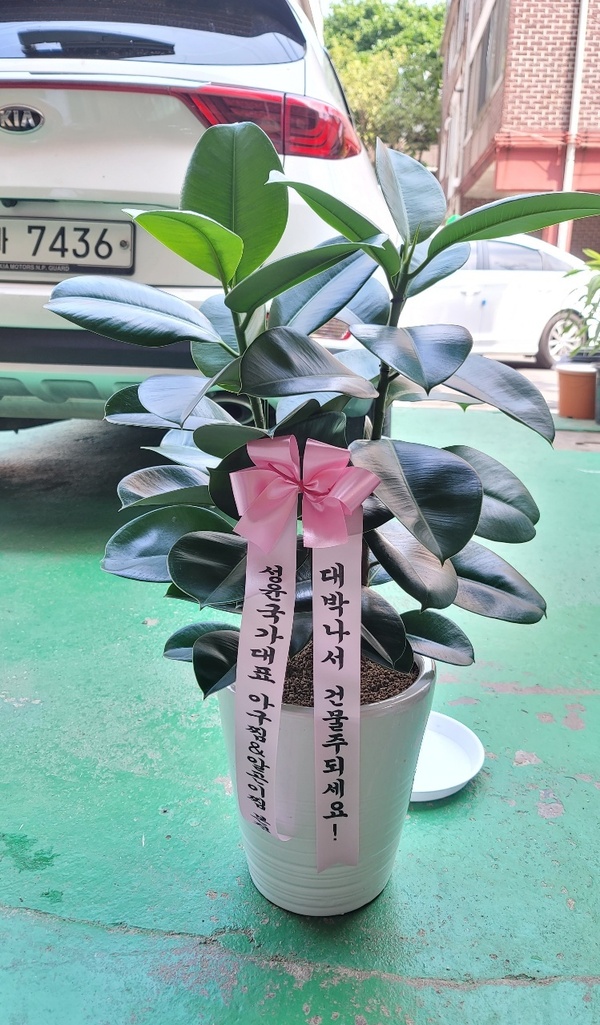 업로드 이미지