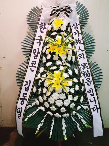 업로드 이미지