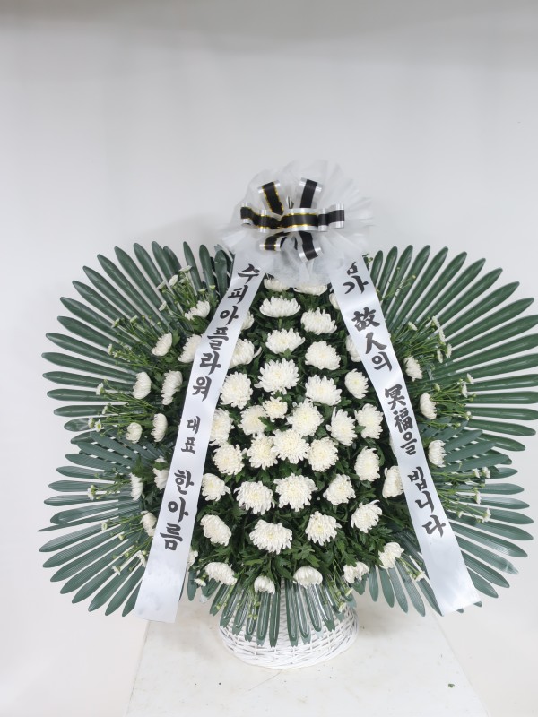 업로드 이미지
