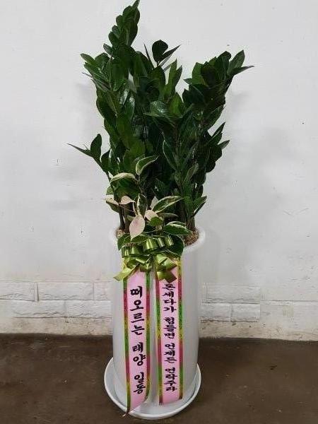 업로드 이미지