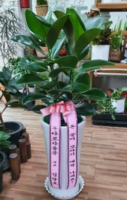 배송사진