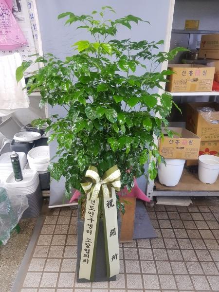 업로드 이미지