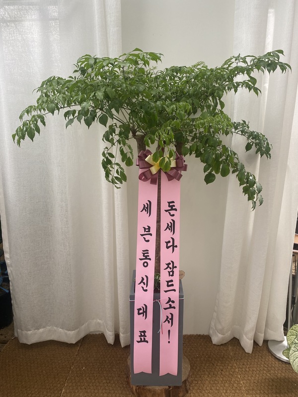 업로드 이미지